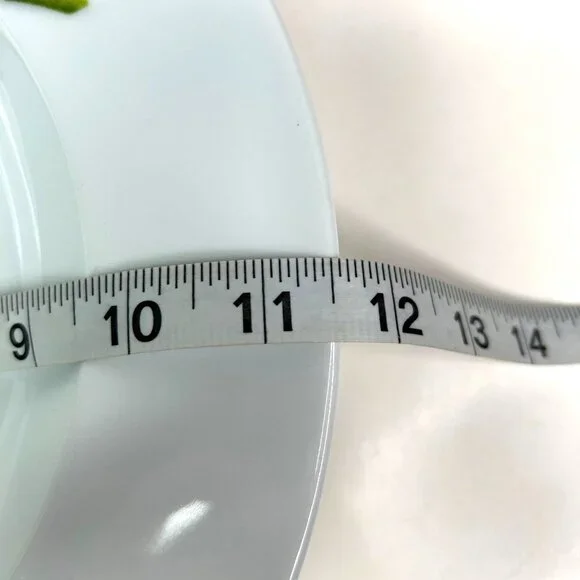 Crate & Barrel Herb Motif Porcelain Dinner Plates Set Of 2 - Picture 9 of 9